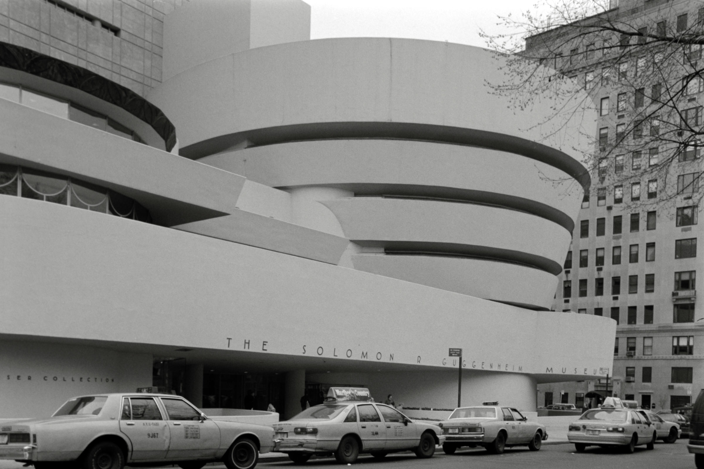 AHP F1995 04 005 sc240817 img04 NLP